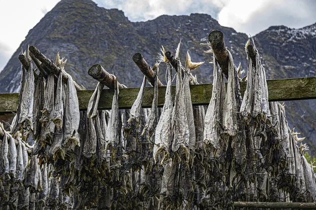 Fjellsiden - bilde av tørrfisk