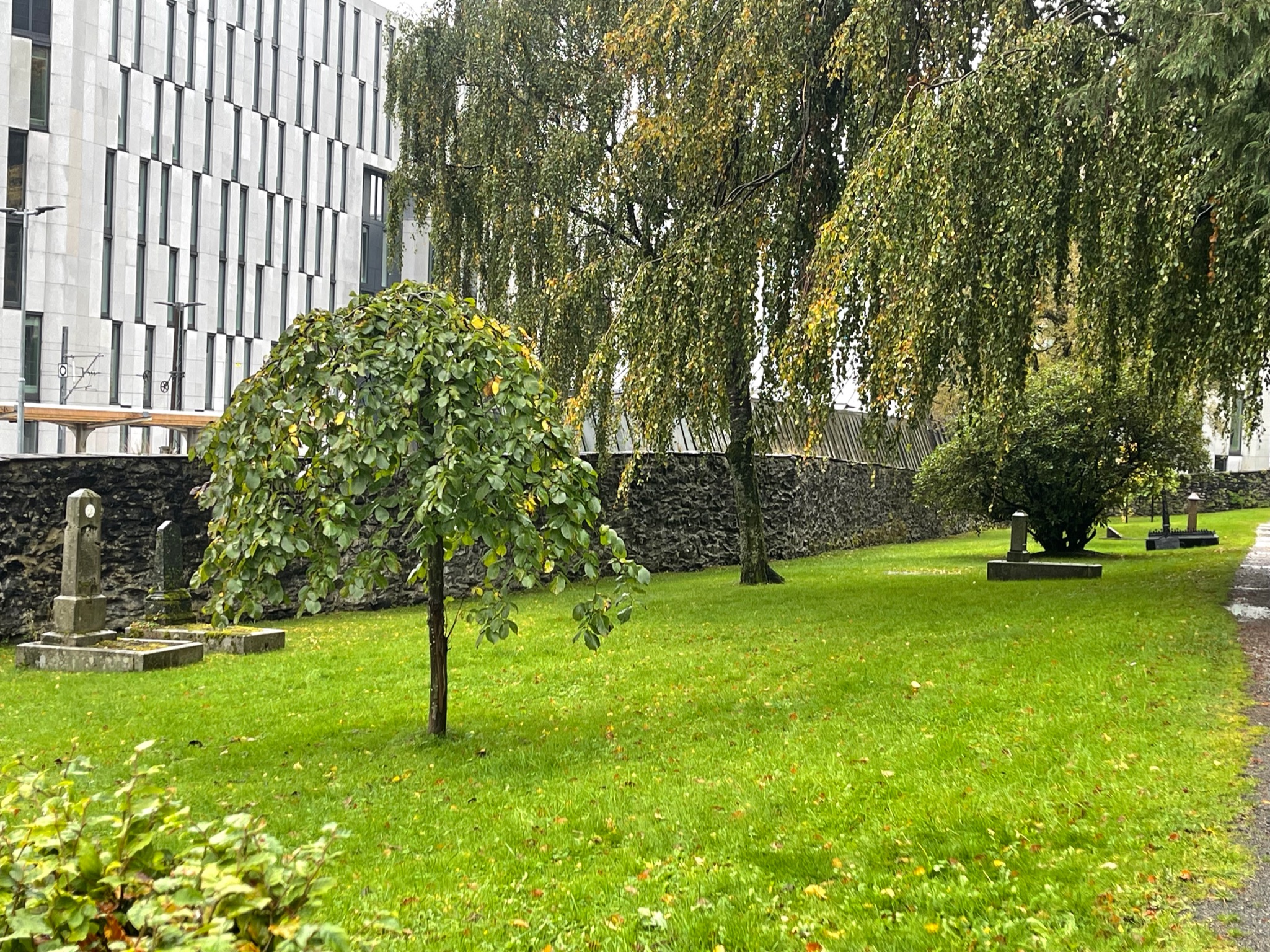 Oversikt B00 Assistentkirkegården